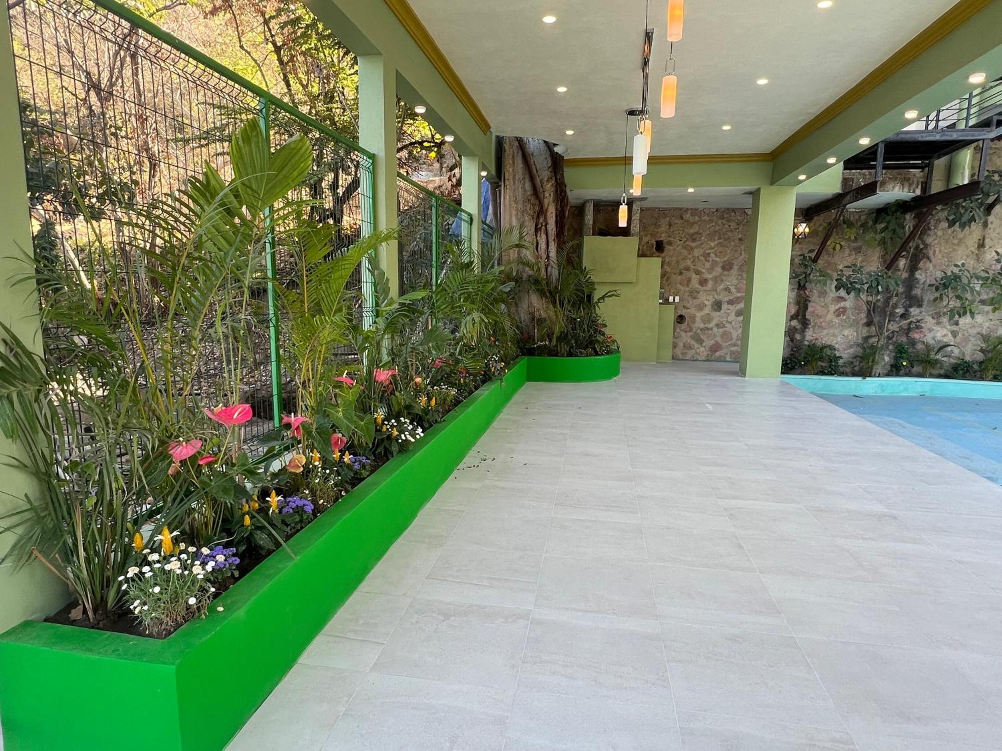 South Shore Villa Armonia Luxury Boutique Puerto Vallarta Kültér fotó